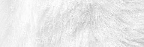 fluffy's banner