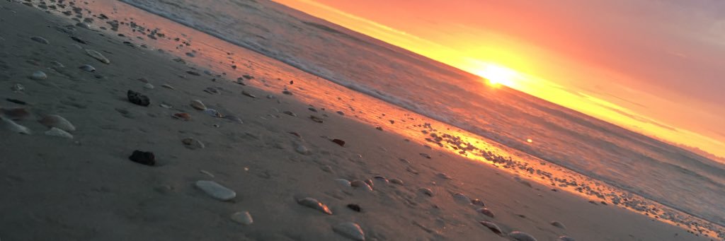 Seth_jones21's profile banner image