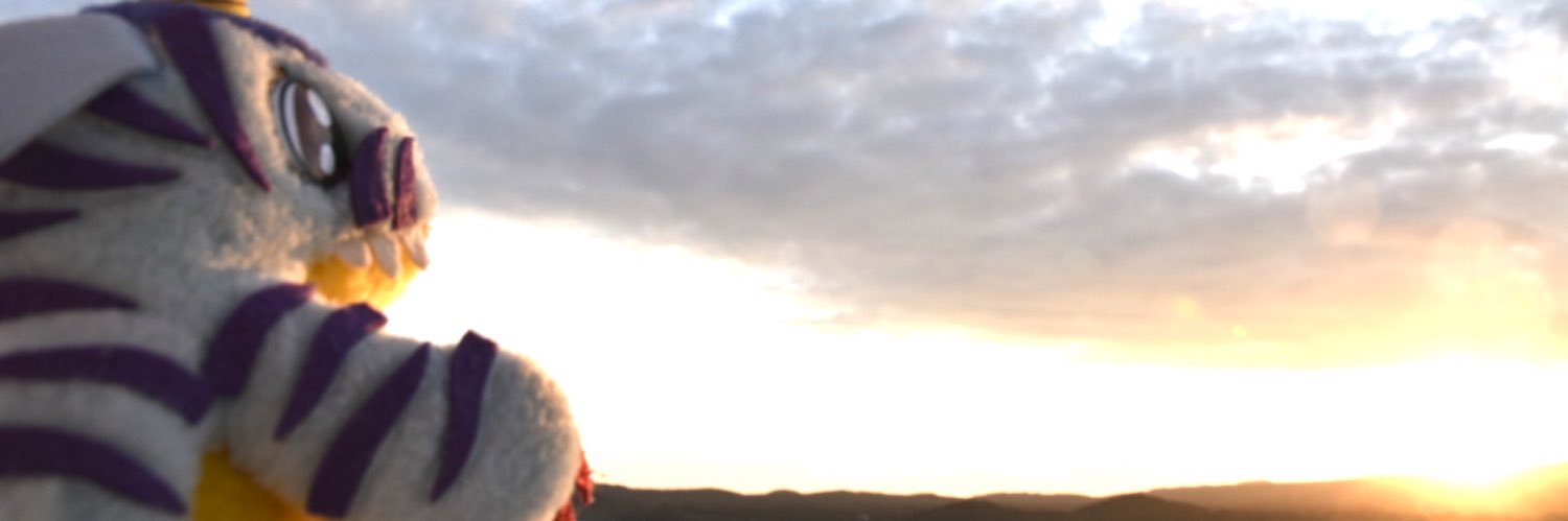 borongo0's profile banner image