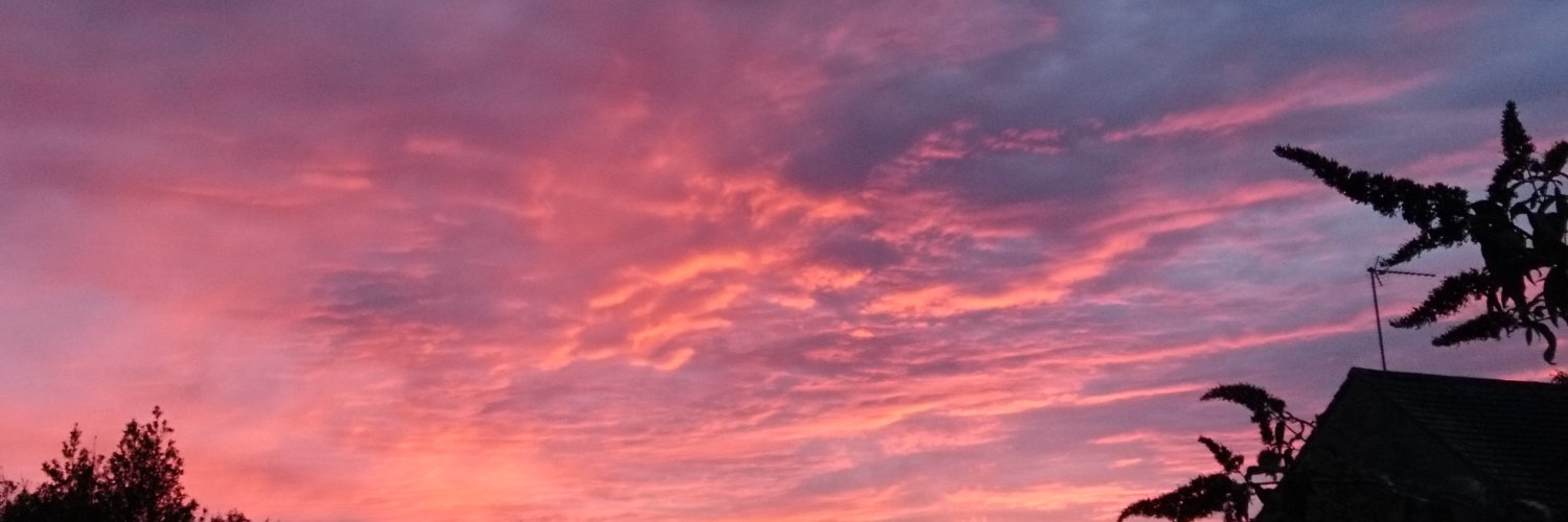 Ruth Fleet (she/her) banner