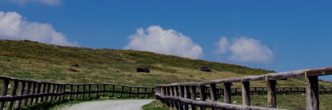 ryo-アプリ個人開発 banner