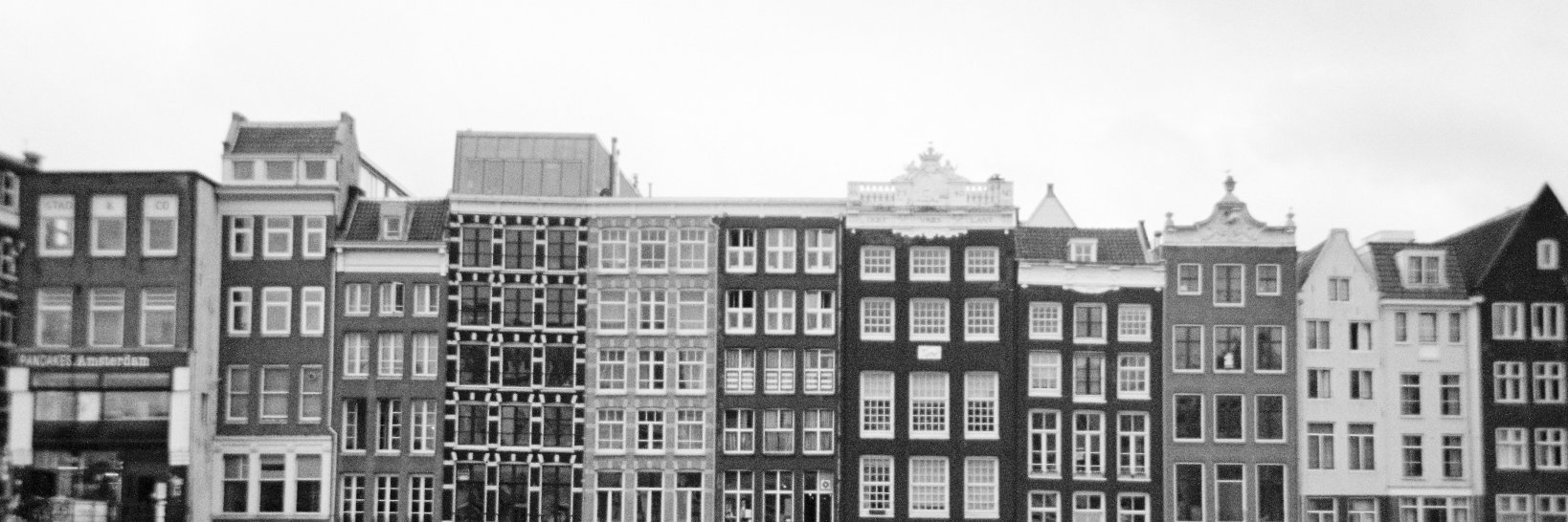 michelleamock's profile banner image