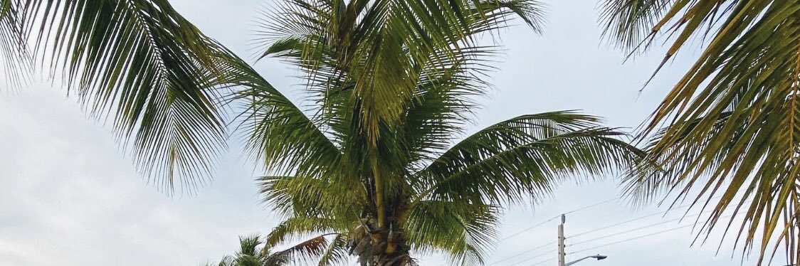 breeaaannna's profile banner image