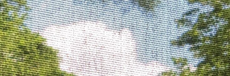 🐰 banner