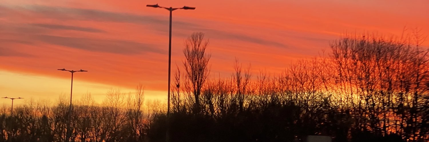 staceholmes's profile banner image