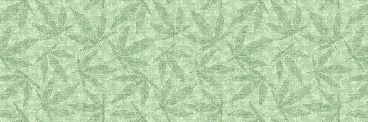 ♑️ MiSTY ♑️ banner