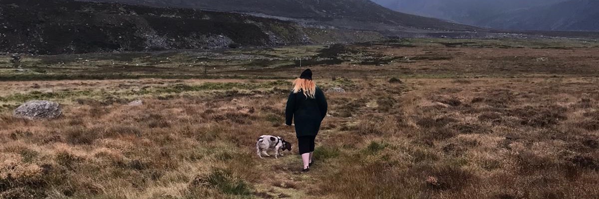 Zedd 🌙🌚 banner