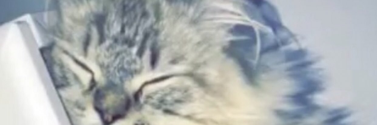 N0_1000's profile banner image