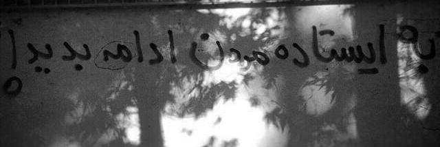 Golnoush's profile banner image