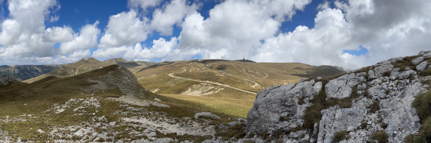 Žemyna Treiderė banner
