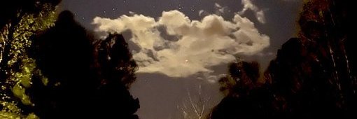 Donald_d7's profile banner image