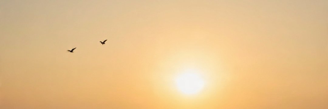 adphily's profile banner image