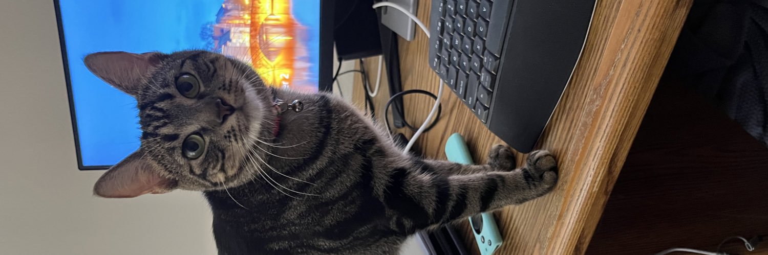 lydpeabs's profile banner image