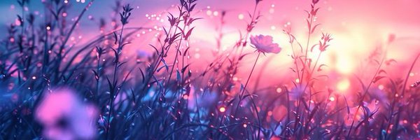 urejNFT Profile Banner