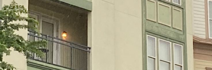 kia🐻 banner
