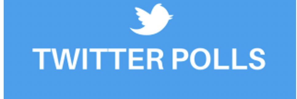 Official NFT Polls banner