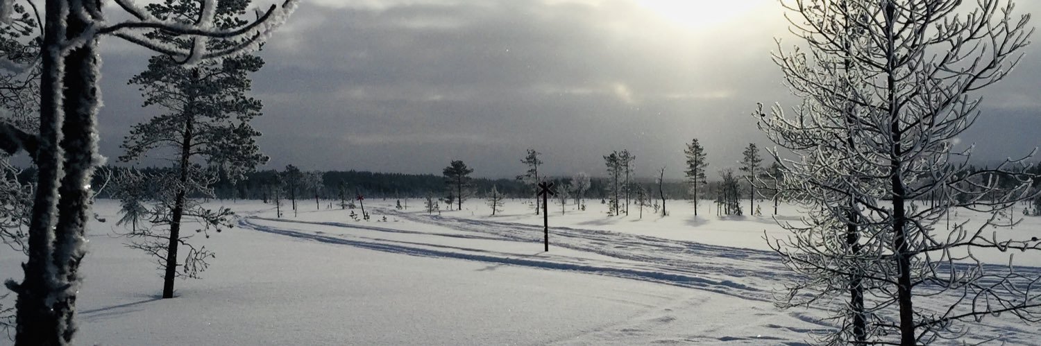 Juha Paakkari's banner