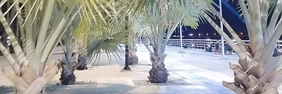 สัตหีบ Swing&outdoor banner