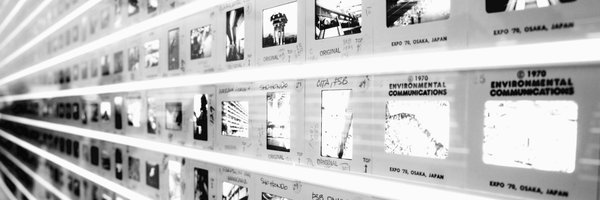 XiumeiDong Profile Banner