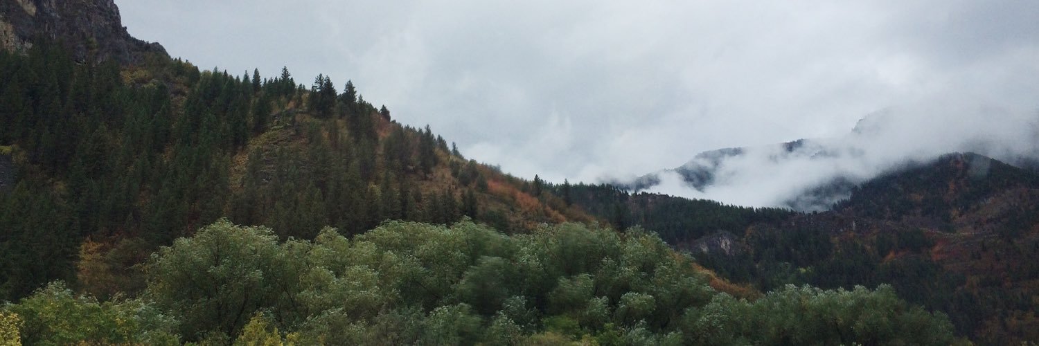 dr. kari norman banner