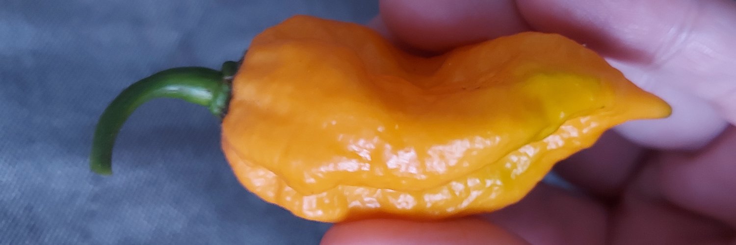 Pepper Mage 🌶 banner