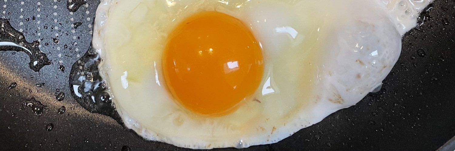 Dunne’s Farm Pastured Eggs's banner