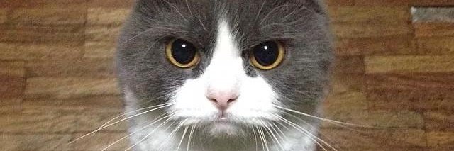 drcserdar's profile banner image