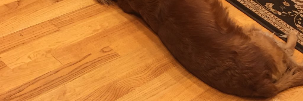 makku's profile banner image