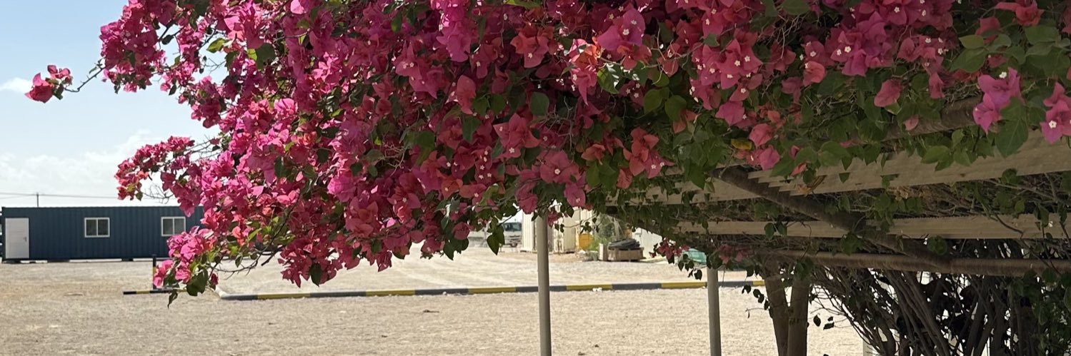 3lbousafi94's profile banner image