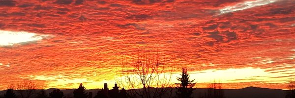 MarcWendelstein Profile Banner