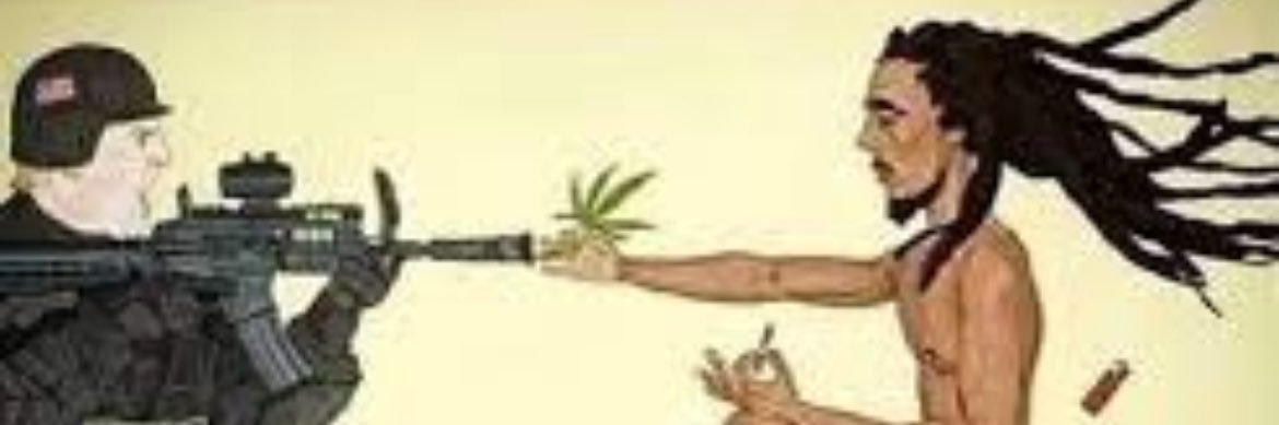 chicken charlie banner