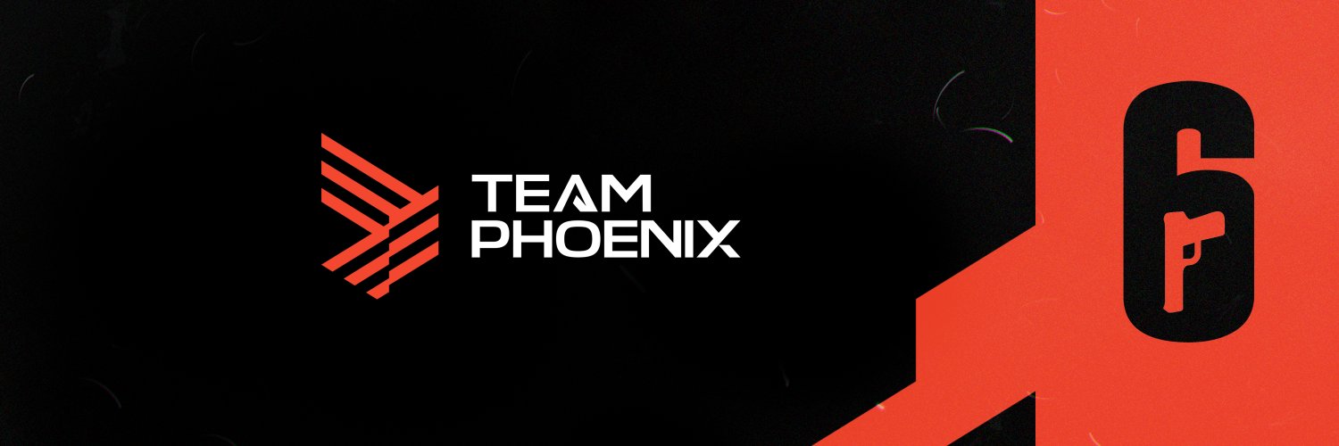 Team Phoenix BR banner