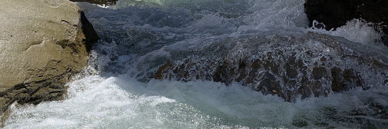 Wayne Johnson banner