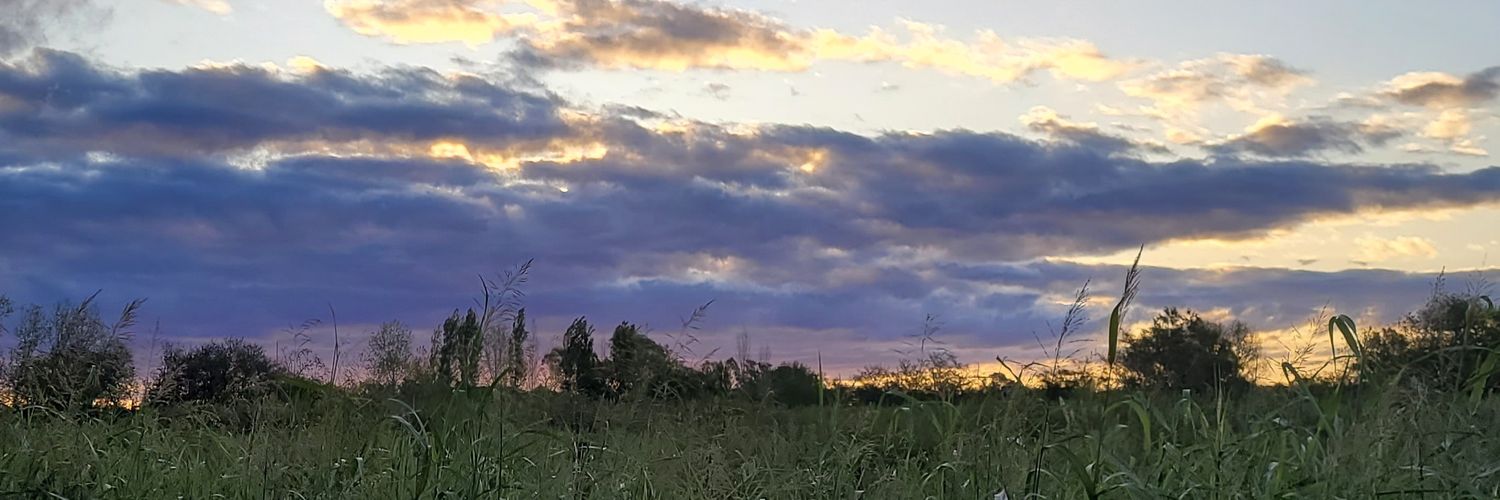 MicuRodrigez's profile banner image