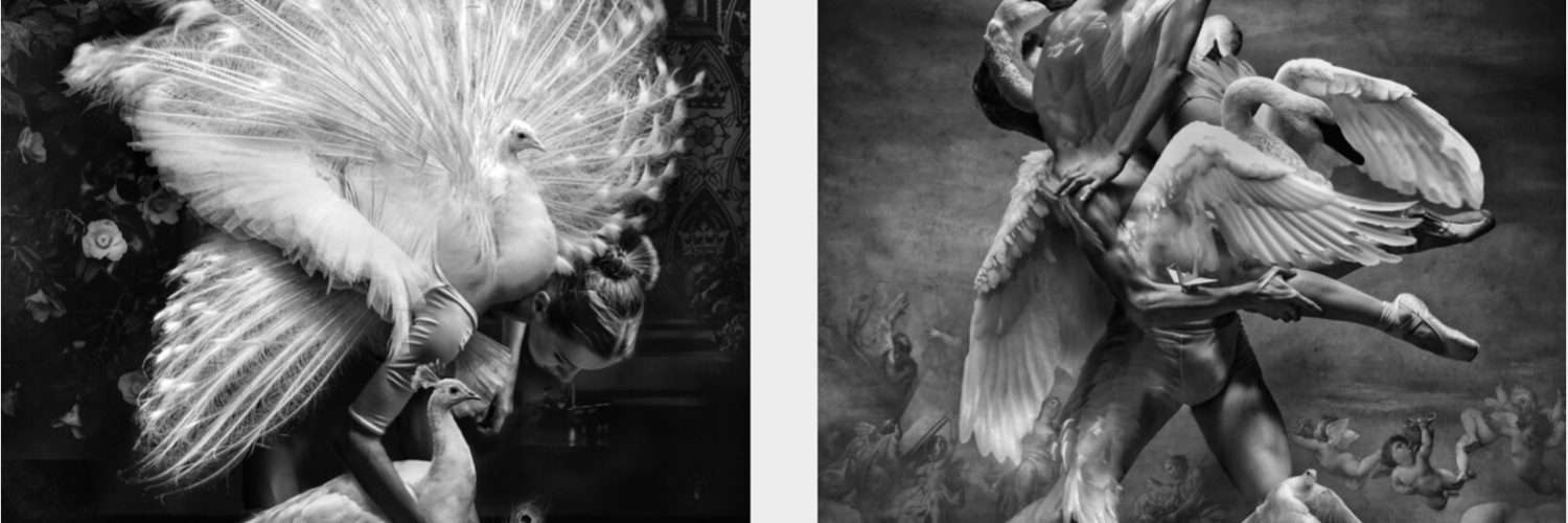 Ariëlle Amber. banner