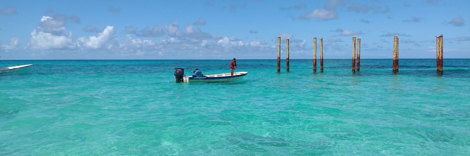 bidalantonela's profile banner image