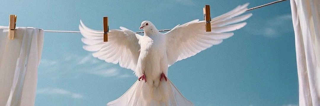 salimi2020's profile banner image