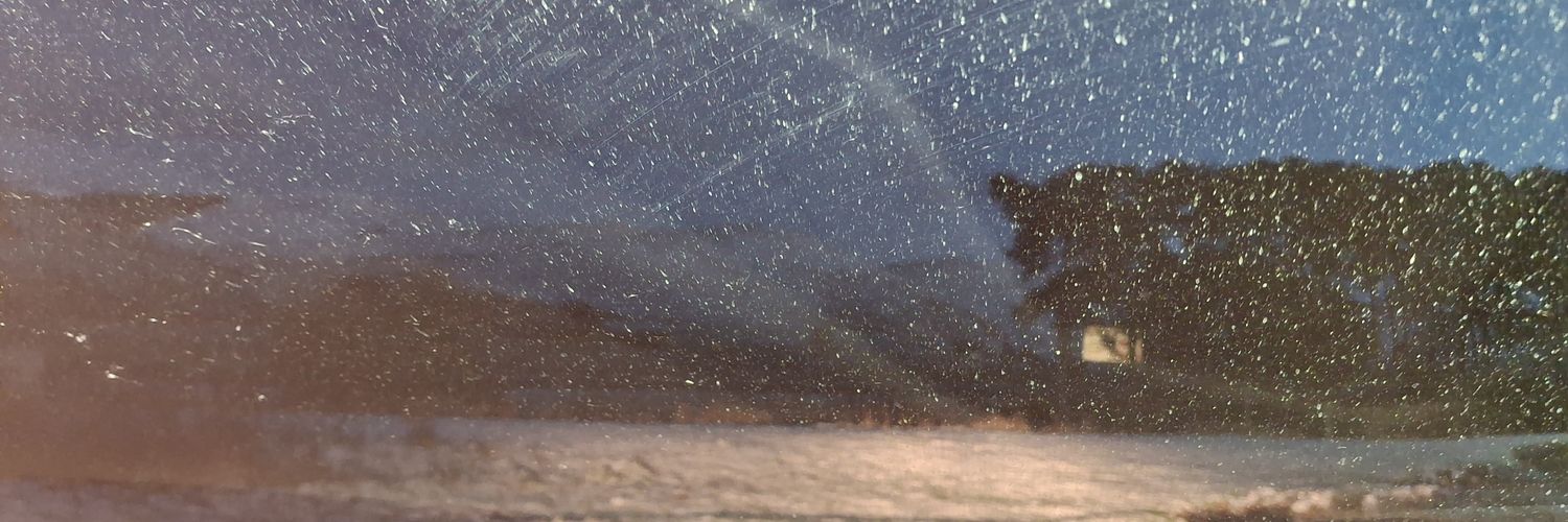 SVROfficial_'s profile banner image