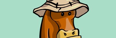 Migdalia Falk banner