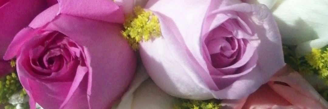 Monse banner