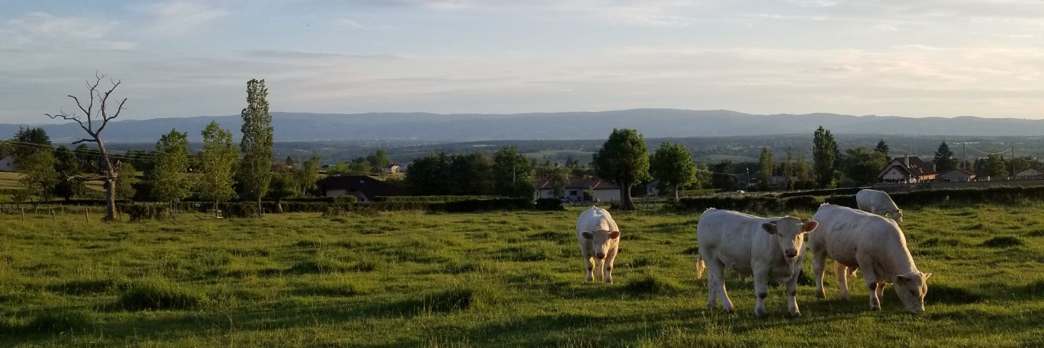 AlexisGacon's profile banner image
