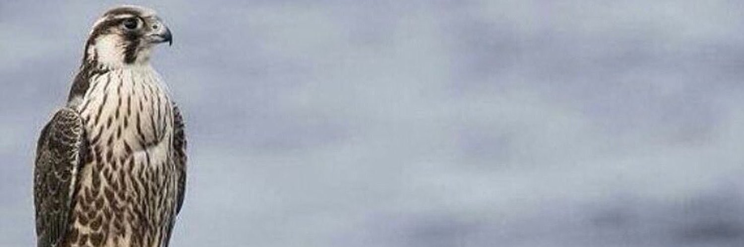 ‏﮼عبدالله🇸🇦 banner