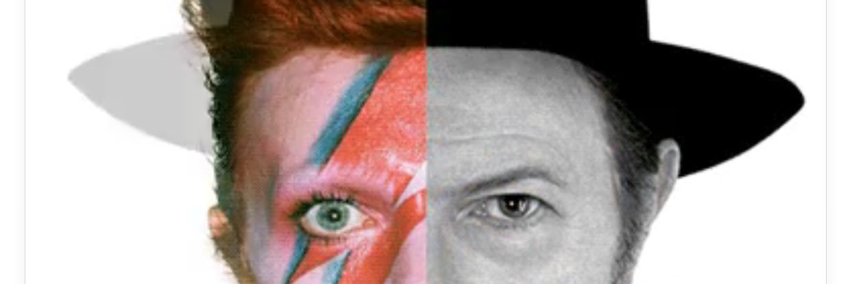 TRAFALGAR D. WATER LAW banner