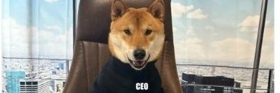 DOGECEO （support team） banner