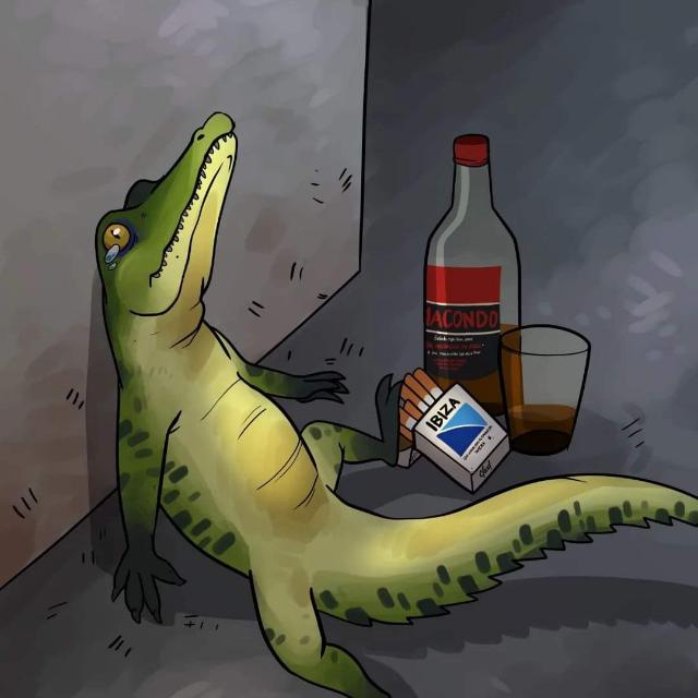 piterelparri's profile banner image