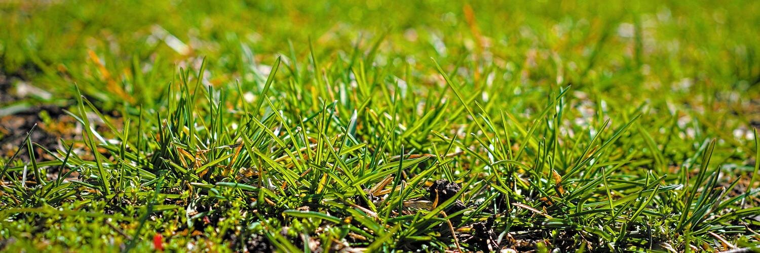 gontsa 🇺🇦 banner