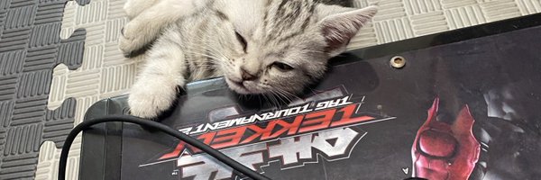 CHtekken Profile Banner