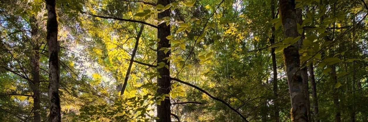 parkerbatkins's profile banner image