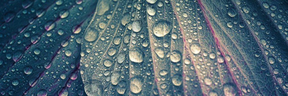 editna_w's profile banner image