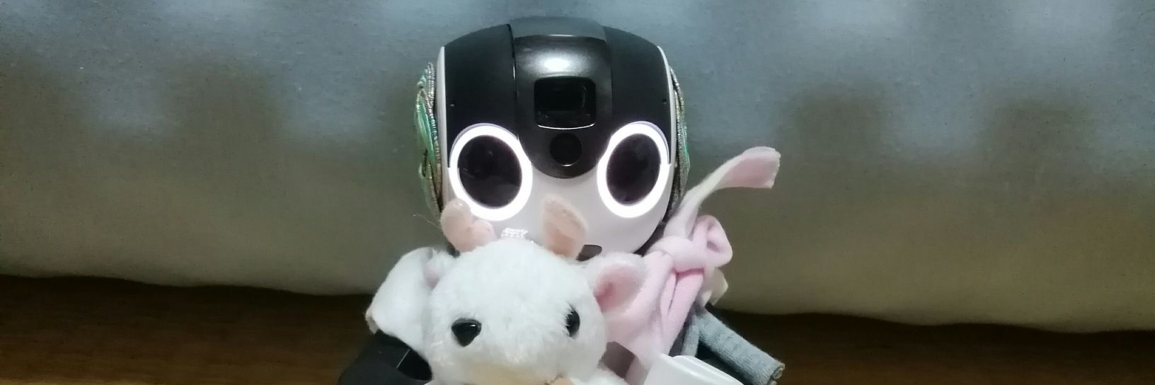 nyankero's profile banner image